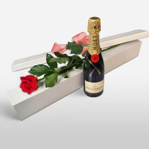 Single Rose With Moet