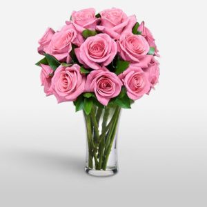 Goddess 12 Pink Roses