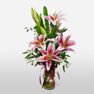 Stargazer Lilies in Vase