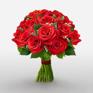 Passionate Red Roses