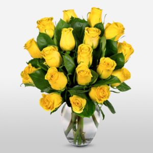 One Dozen Yellow Roses