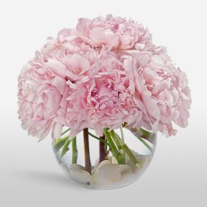 Precious Peonies