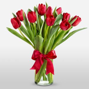 Rustic Red Tulips in Vase