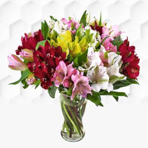 Alstroemeria Bouquet