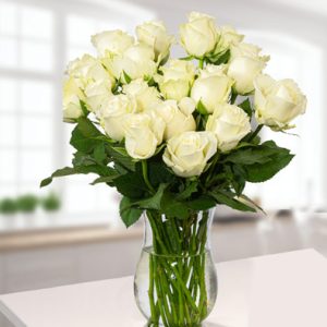 20 Beautiful White Roses