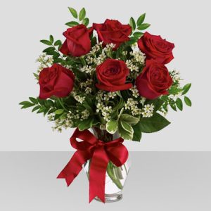 Half Dozen Long Stemmed Red Roses