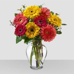 Cheerful Gerberas