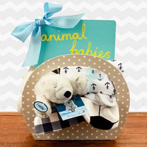 Boy Dreams Gift Basket