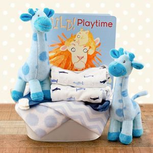 Twins Boy Gift Basket