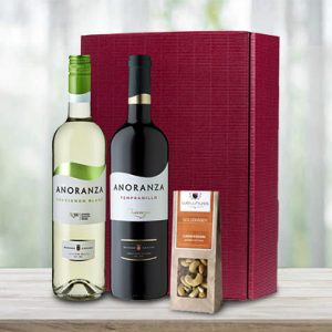 Gourmet Set Spanish Wine