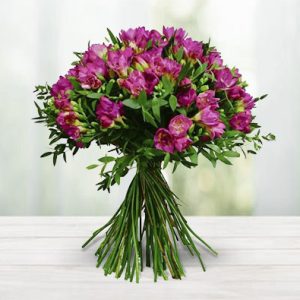 Freesia Fancy