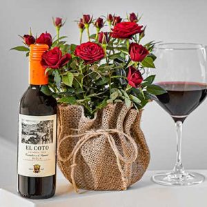 Rose and Rioja - Combo Gift