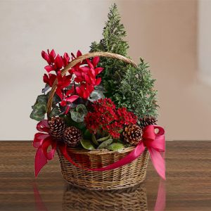 Merry Fir and Florals Basket